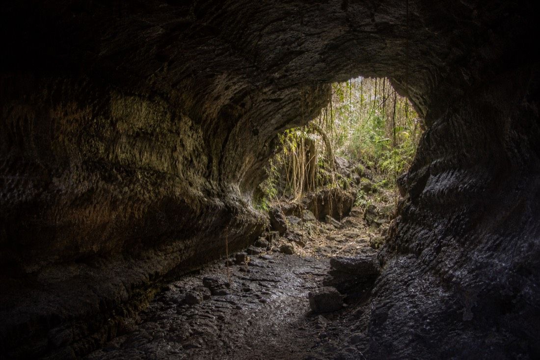 Inside a collapsed lava tunnel on Santa Cruz with daylight entering from an opening ahead