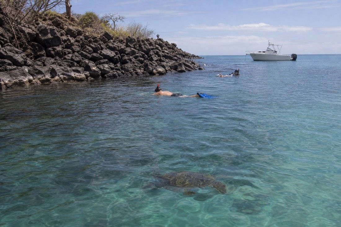Snorkellers in clear water beside a rocky Galapagos islet with a day boat anchored nearby